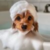 Mr Canis Szampon Uniwersalny w kostce dla pieska Furry Fresh 75g - obrazek 6